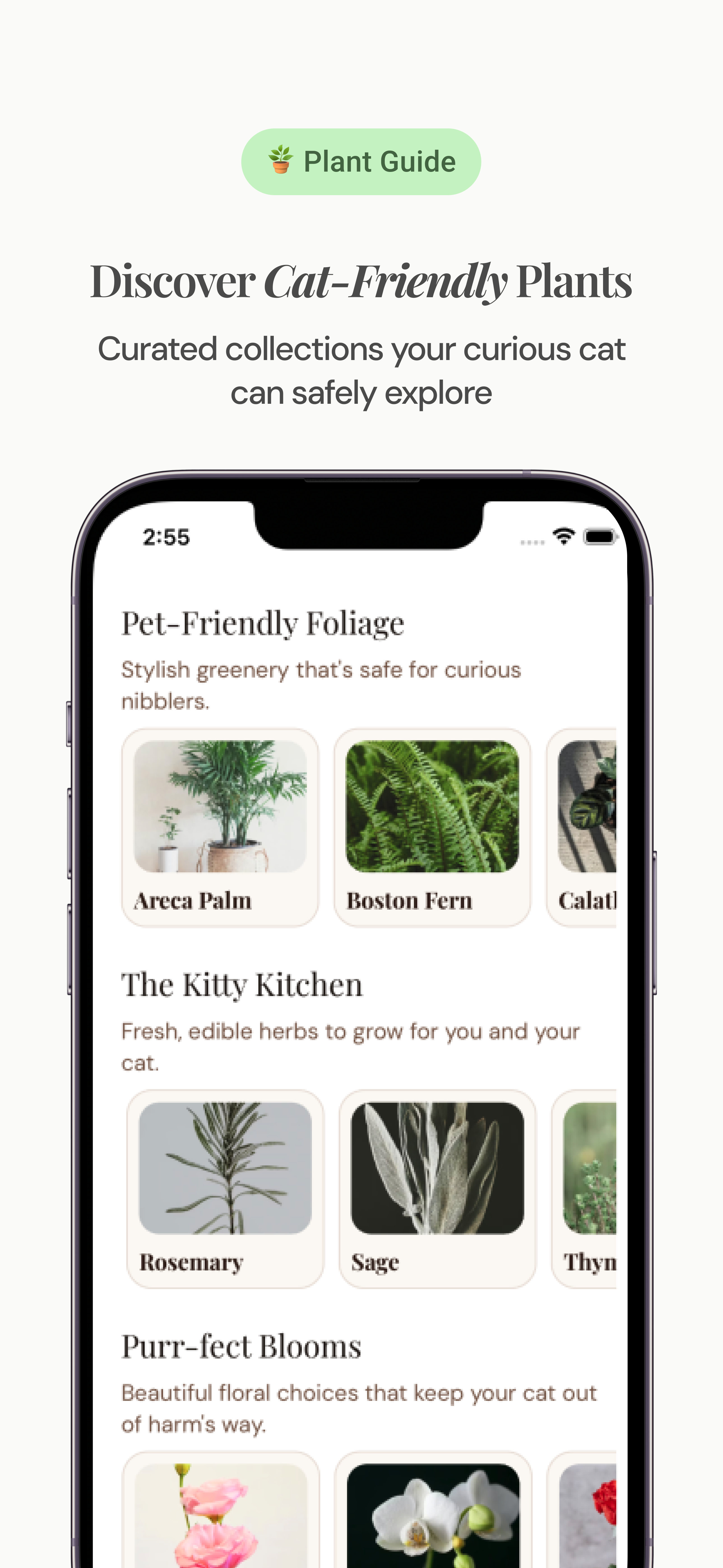 Smart Search